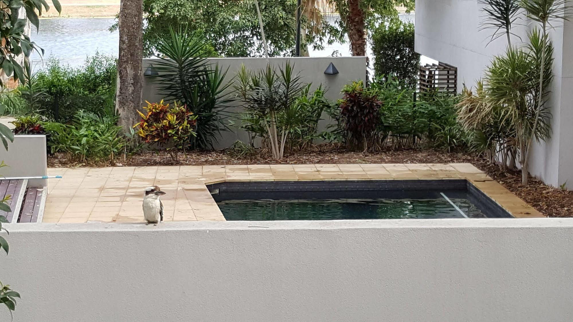 Jacana Apartments Townsville Eksteriør bilde